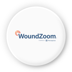 WoundZoom Logo for landing page